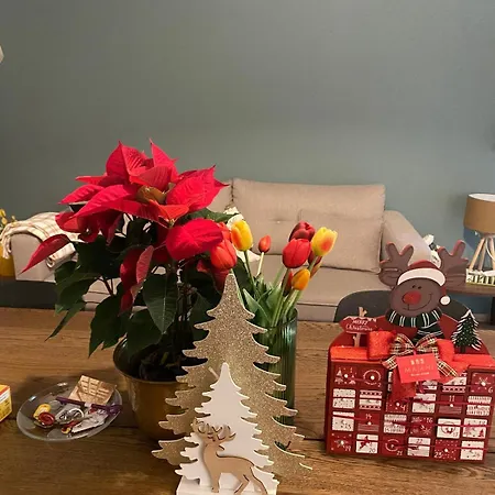 Casa Reno Centro * Bologna